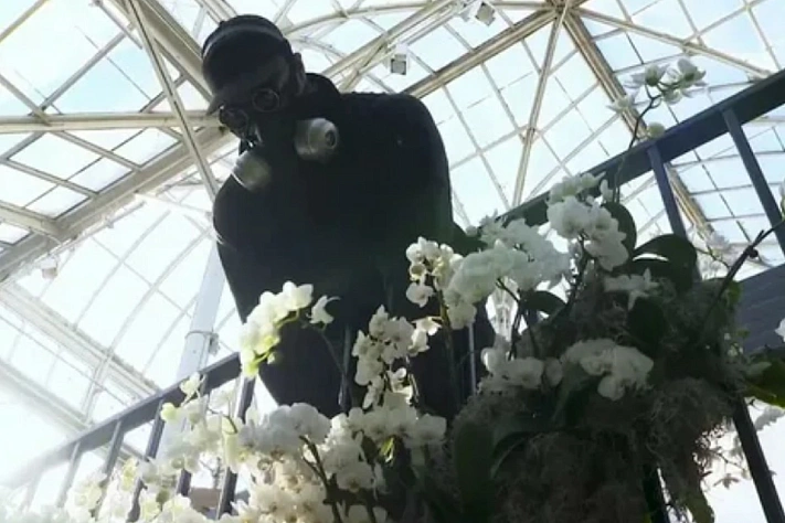 В Нью-Йорке открылось уникальное шоу орхидей «Бетонные джунгли»