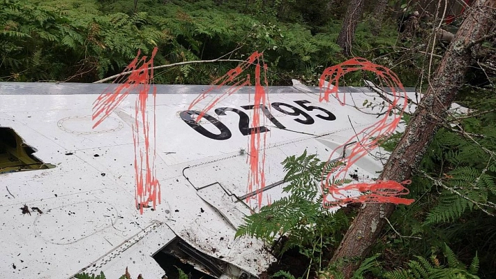 В трёх километрах от падения самолёта Евгения Пригожина найдены шасси и крыло