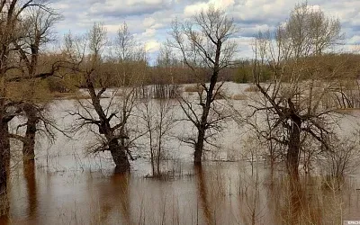 Паводок ожидается в 11 регионах ЦФО