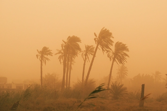 Российские туристы эвакуируются с пляжей Египта