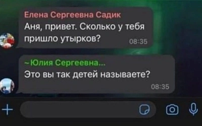 В рабочем чате воспитатель назвала детей утырками