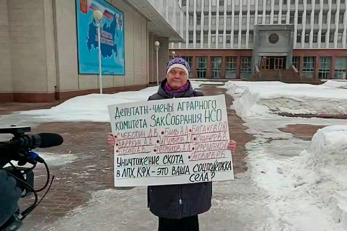 В Новосибирске задержали фермершу, потерявшую 200 голов скота