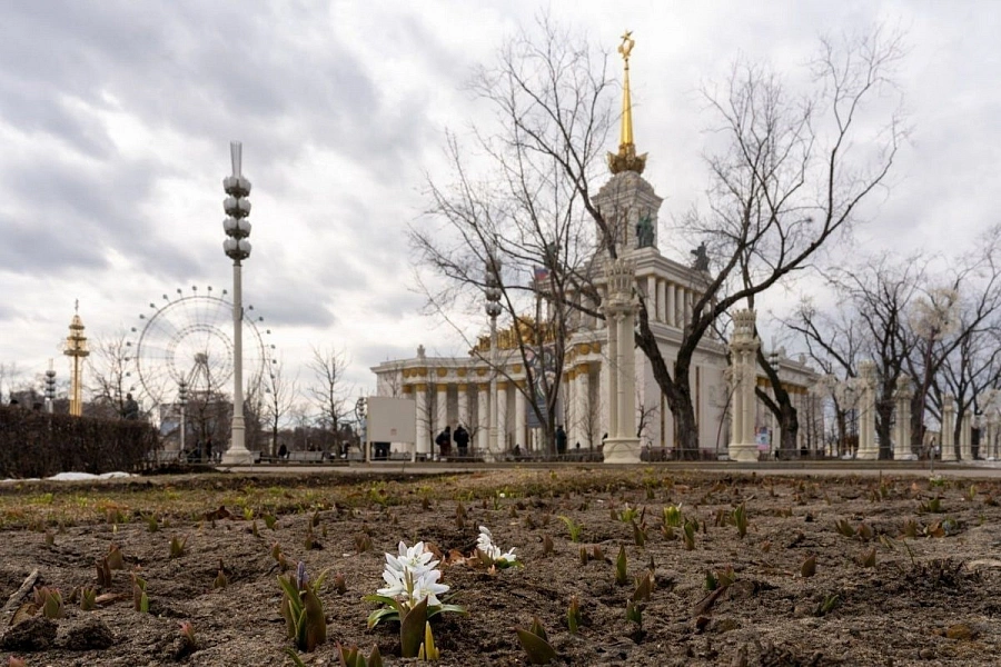 ВДНХ каток Останкино