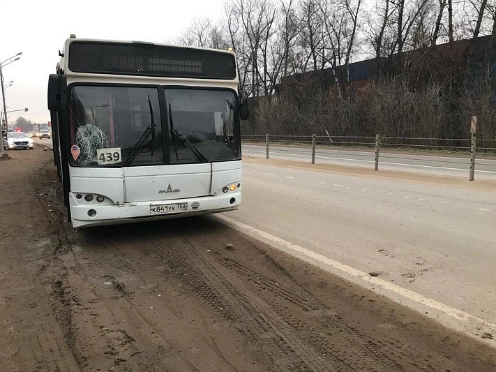 В Подмосковье автобус насмерть сбил женщину