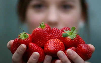 Локальные продукты и ягоды оказались эффективнее БАДов