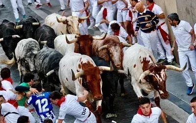 В Памплоне прошёл первый забег с быками на Сан-Фермин