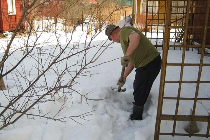 Что делать на даче после первых снегопадов