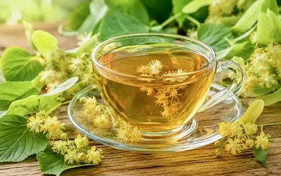 Липовый цвет собирают в июне