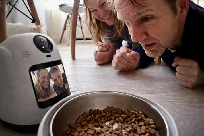 Разговор у кошачьей миски оказался не про кота