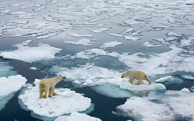 Как глобальное потепление поменяет Россию