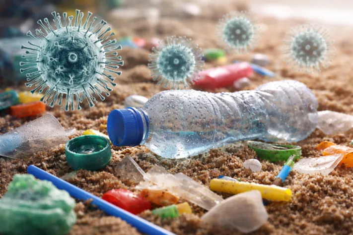 Вирусы в пластиковых отходах могут незаметно ускорить распространение устойчивости к антибиотикам