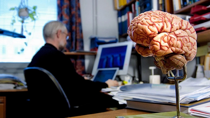 Почему средний уровень IQ стал снижаться?