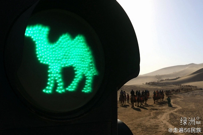 В пустыне Китая установили светофоры для верблюдов
