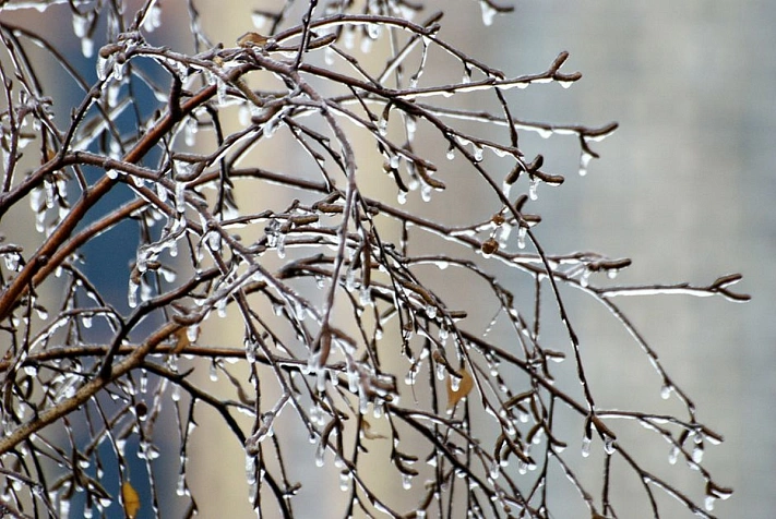 В Москве ожидается ледяной дождь