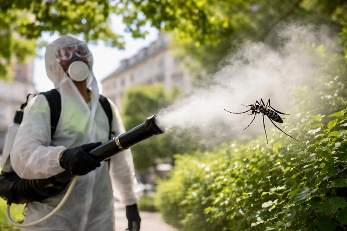 Тропические вирусы подбираются к Европе