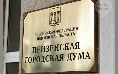 Депутата КПРФ Елену Падалкину лишили права выступать в гордуме Пензы до конца года