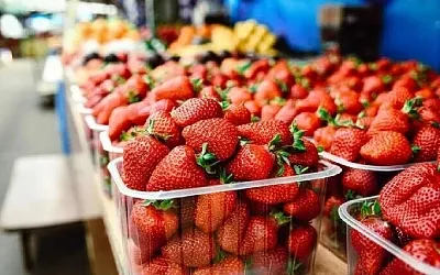 Клубника в России подешевела на 25–30%