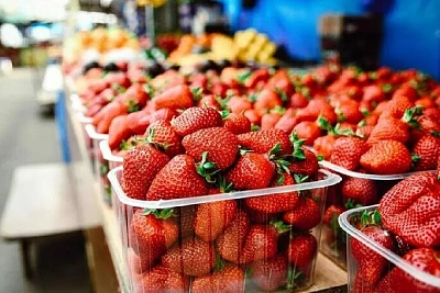Клубника в России подешевела на 25–30%