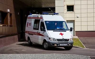 Москвич чуть не погиб из-за укуса паука