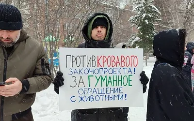 Новосибирцы вышли на митинг против закона, разрешающего убийство бездомных животных