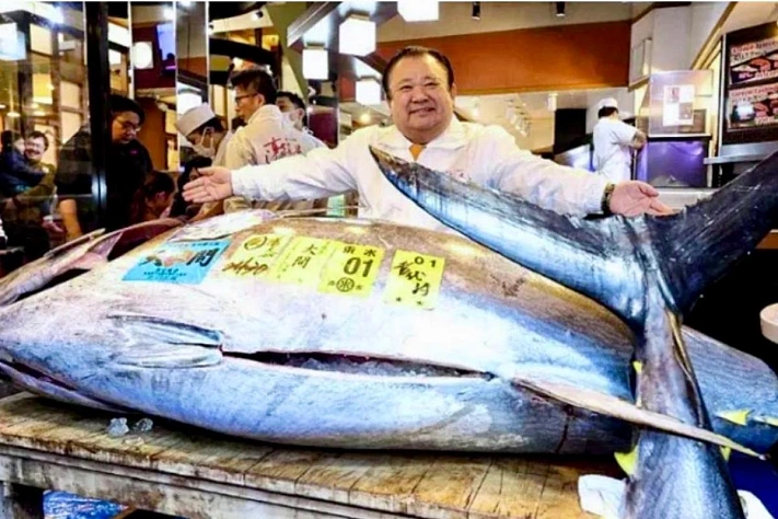 Тунец за 3,2 миллиона — зачем Токио каждый год делает это