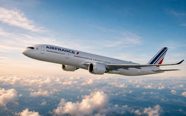 Air France и Airbus признали виновными спустя 17 лет