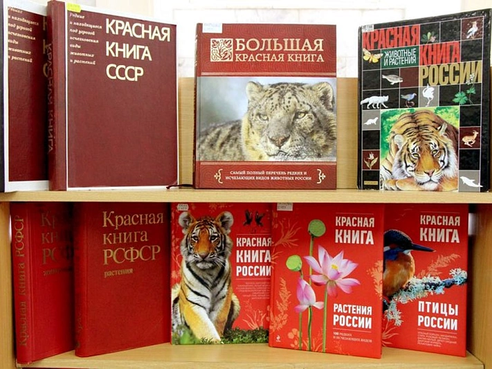 В России обновят Красную книгу грибов и растений