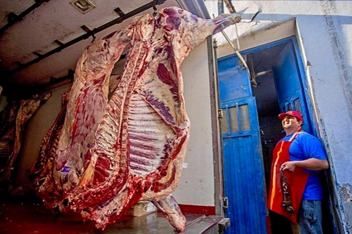 Автомобили, мясо и климат: почему углеродный след мужчин выше