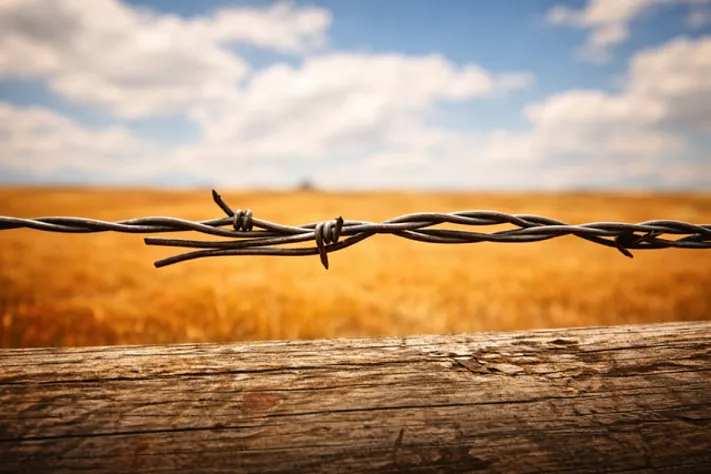 Колючая проволока как маленькая деталь конфликтов