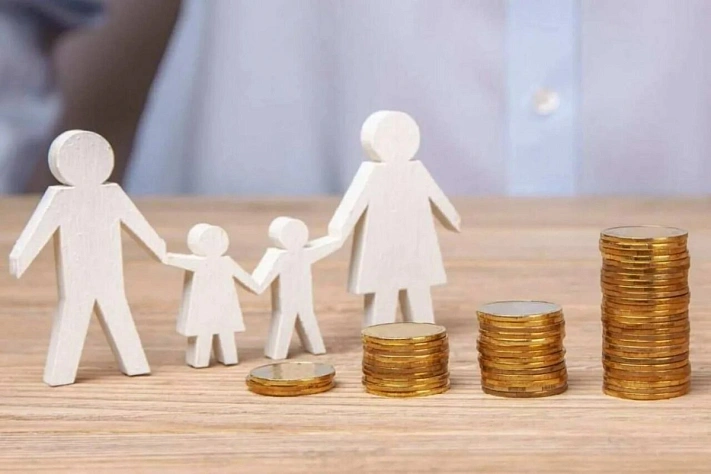 В России с 2026 года вводится семейная налоговая выплата