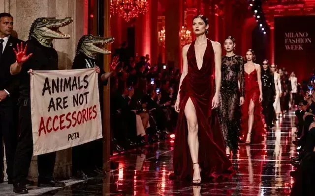 Неделя моды в Милане началась с Prada и протеста PETA
