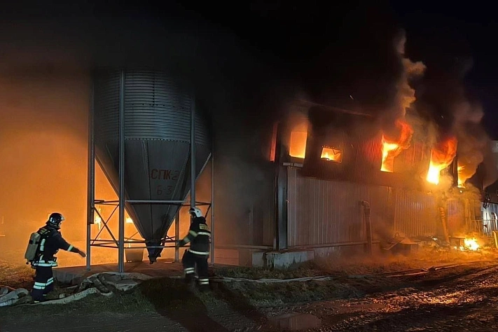 Полторы тысячи свиней погибли в огне на Сахалине