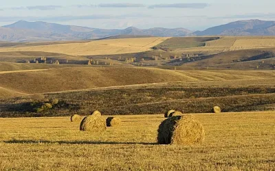 На Алтае выкуплен колхоз с необычным названием