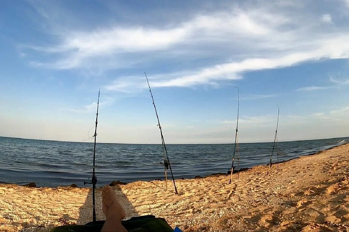 Учёные прогнозируют кардинальные изменения в экосистеме Азовского моря к 2040 году