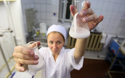 Подпольная молочная продукция обнаружена в Подмосковье