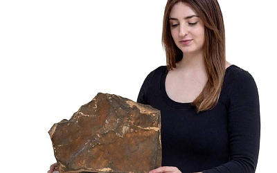 Метеорит с Марса выставлен на аукцион в Нью-Йорке