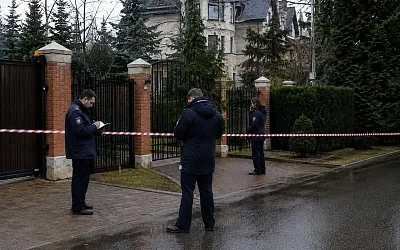 Сына Анны Каменевой арестовали по делу об убийстве