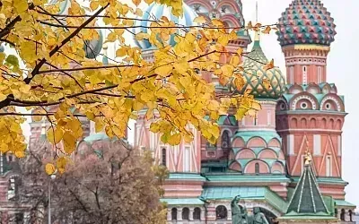 «Бабье лето» может прийти в Москву и Подмосковье в середине сентября