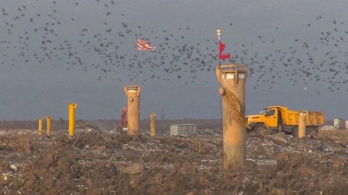 В Подмосковье задумали построить «американскую деревню»