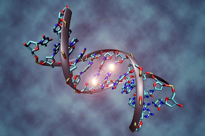 В чём революционный потенциал «коктейля Яманаки» в медицине