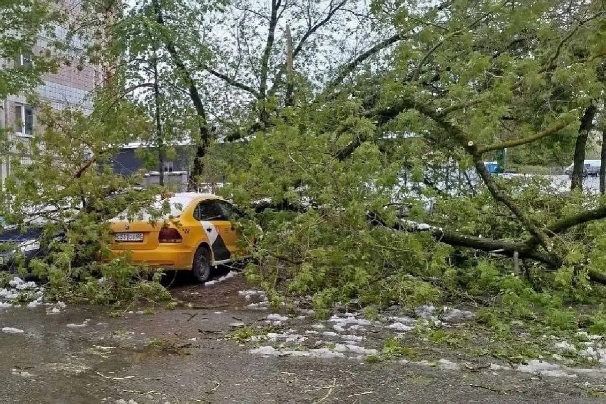 Последствия катастрофического циклон в Подмосковье