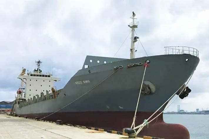В Чёрном море после атаки дронов затонул контейнеровоз «Янина»
