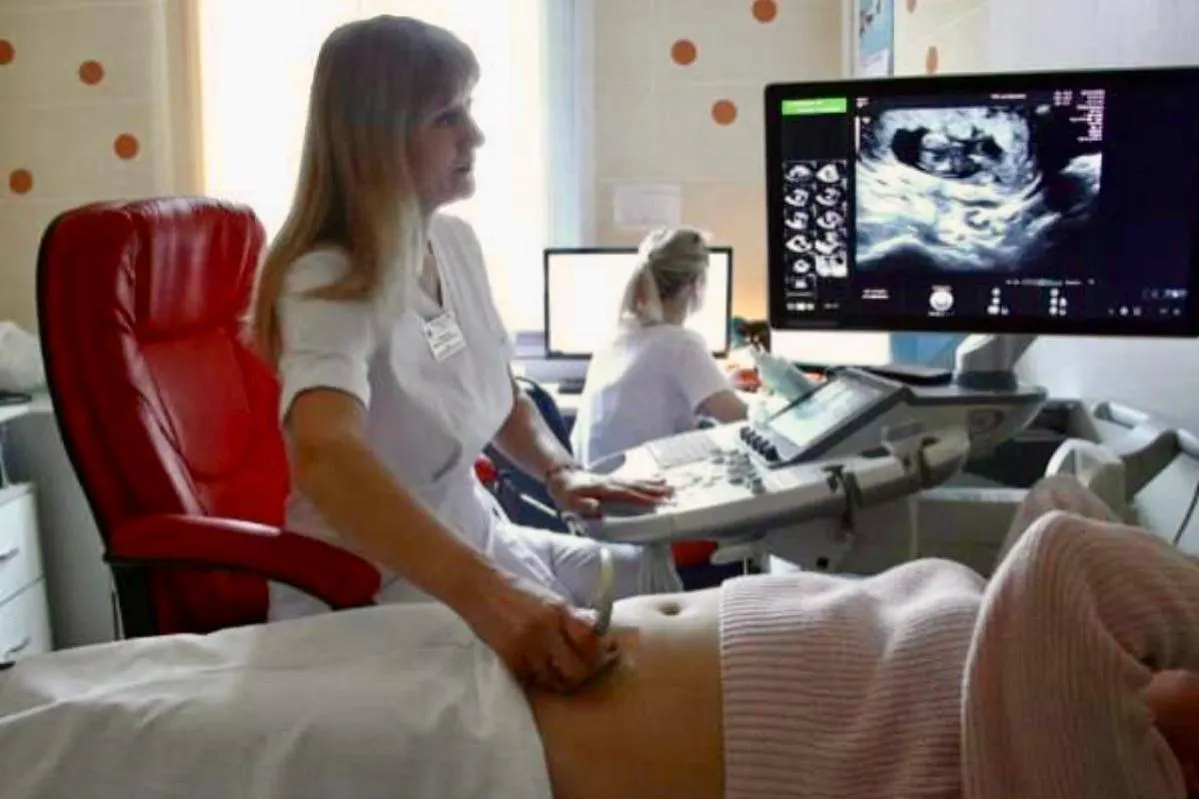 В Брянской области беременным учащимся начнут выплачивать по 150 тысяч рублей