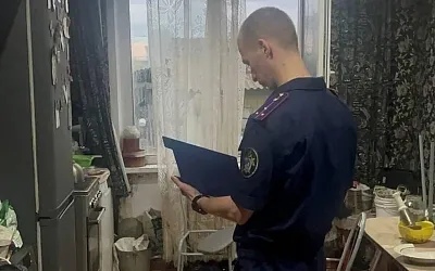В Красноярском крае завершено расследование гибели детей от отравления инсектицидами