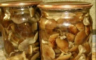 Маринованные опята с уксусом в банках на зиму