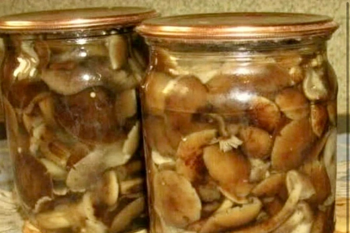 Маринованные опята с уксусом в банках на зиму