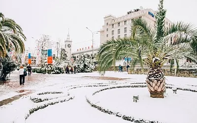В Минприроды создадут спецкомиссию по спасению сочинских субтропиков