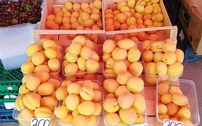 Летний пирог с абрикосами на скорую руку