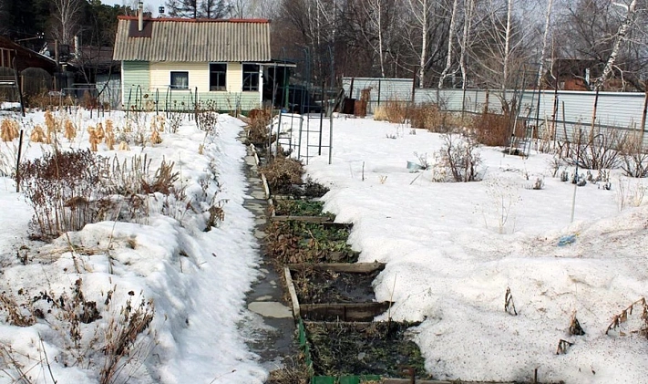 Раскидайте это прямо по снегу на огороде — вы удивитесь плодородию почвы