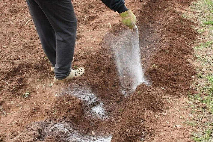 Зачем осенью вносить в почву калийные удобрения